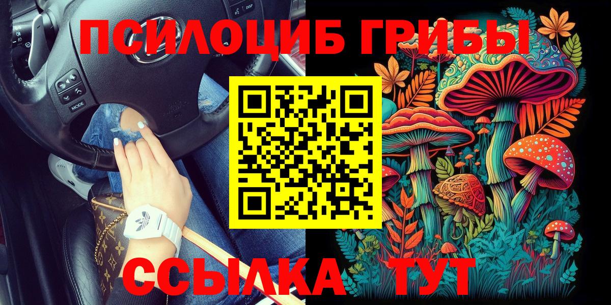 Кызыл  Галлюциногенные грибы Psilocybine cubensis  Вход с VPN 